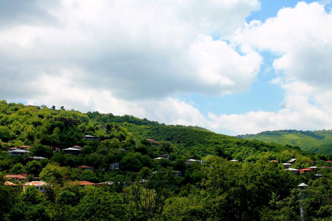 Lilia Guesthouse Siğnaği Dış mekan fotoğraf
